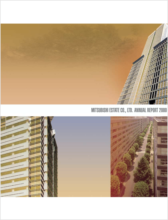 2000年 統合報告書