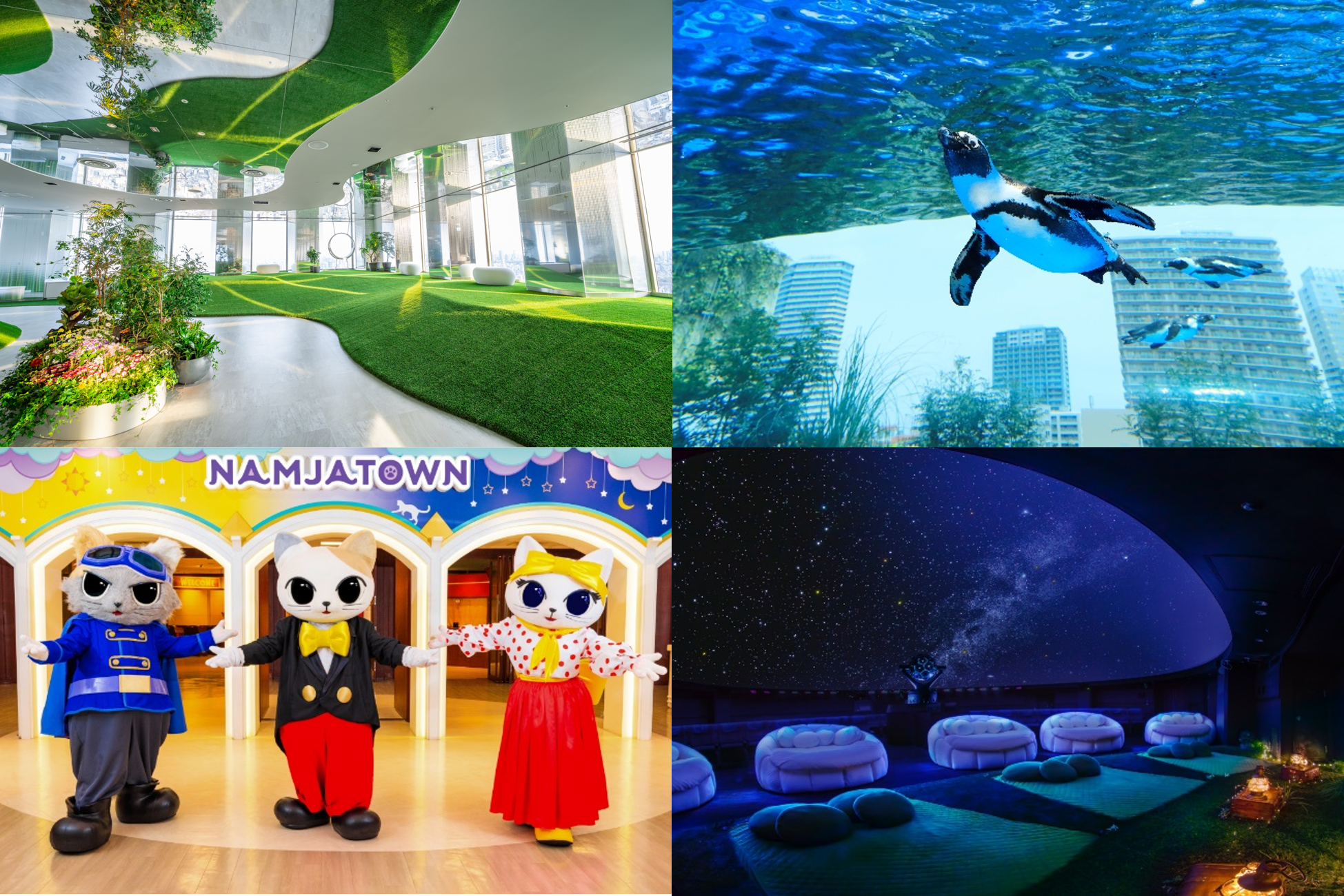 「成人の日キャンペーン」